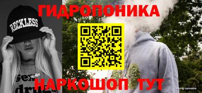 прущая мука Будённовск