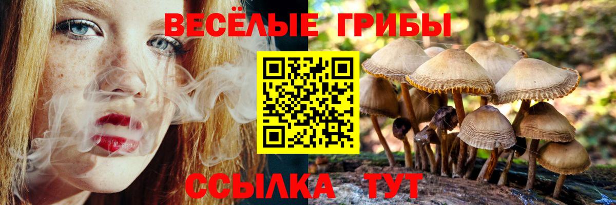 Торжок  Галлюциногенные грибы Magic Shrooms  где купить наркотик  Вход с VPN 
