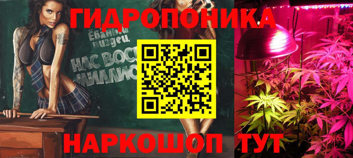 Шишки марихуана тримм  Канабис план  Каннабис планчик  Торжок  Вход с VPN 